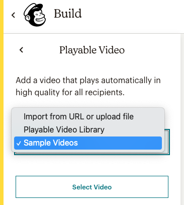 Video preview within your Mailchimp template